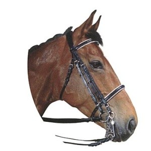 Obrazek