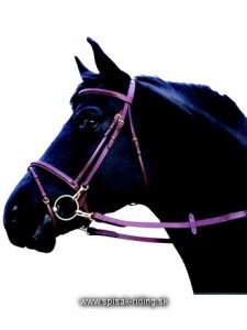 Obrazek