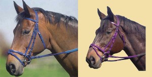 Obrazek