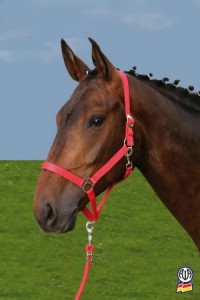 Obrazek