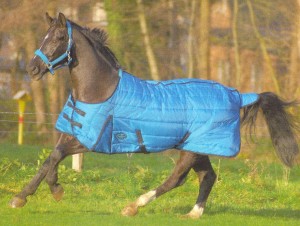 Obrazek