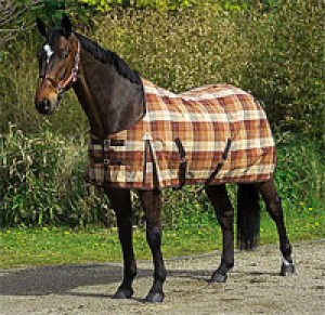Obrazek