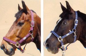 Obrazek
